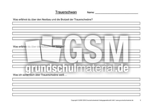 Arbeitsblatt-Trauerschwäne-3.pdf